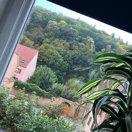 La Dolce Vita *
